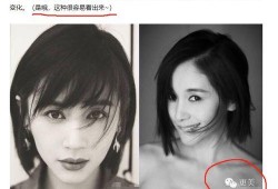 明星黑料最新,明星黑料曝光，真相背后引人深思